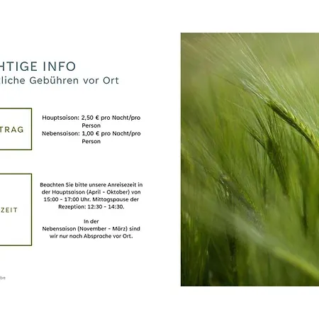 Schlafstube 3* Neuharlingersiel